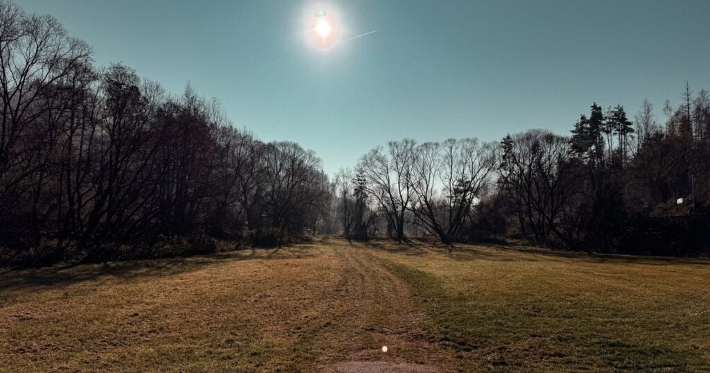 Pole cestou na zříceninu hradu Rokštejn