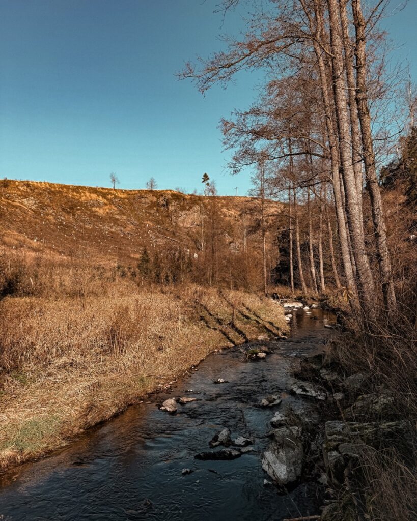 Řeka u zříceniny hradu Rokštejn